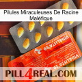 Pilules Miraculeuses De Racine Maléfique new01